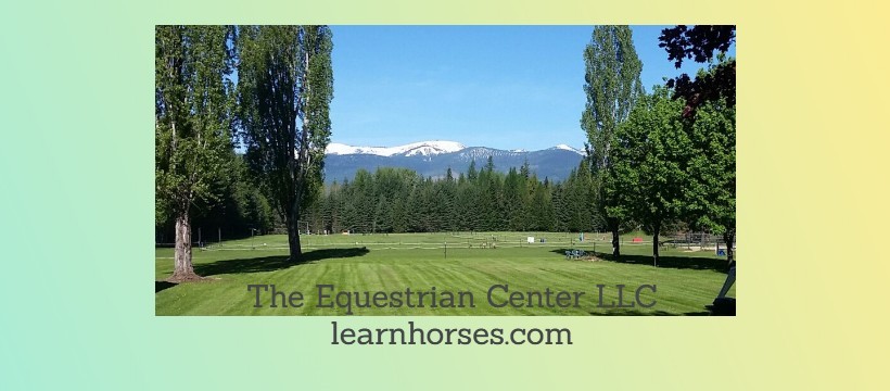 The Equestrian Center LLC