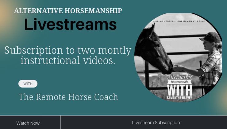 Alternative Horsemanship™ the Remote Horse Coach Livestreams
