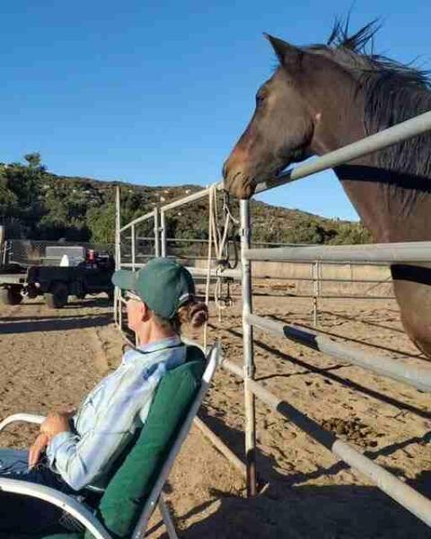 Profile Picture of Alternative Horsemanship™ teaching with a horse obsserving