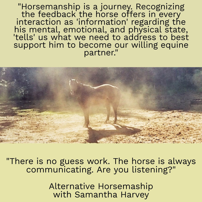 Altenative Horsemanship™ quote