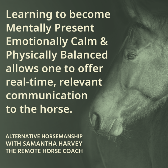 Horse Help Alternative Horsemanship™ Quote