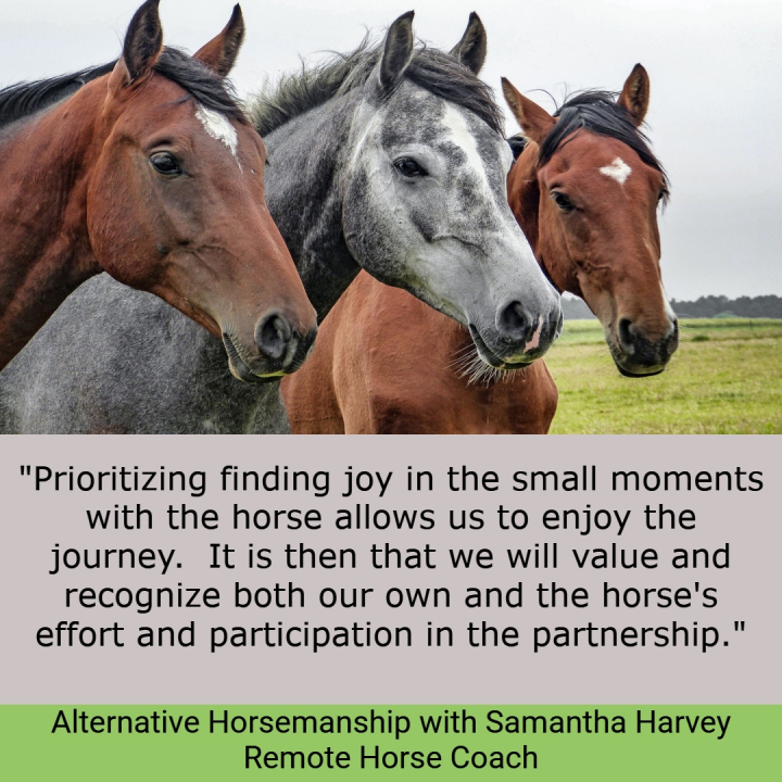 Alternative Horsemanship™ Quote