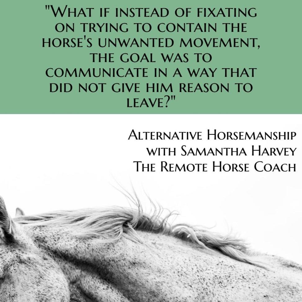 Alternative Horsemanship™ quote