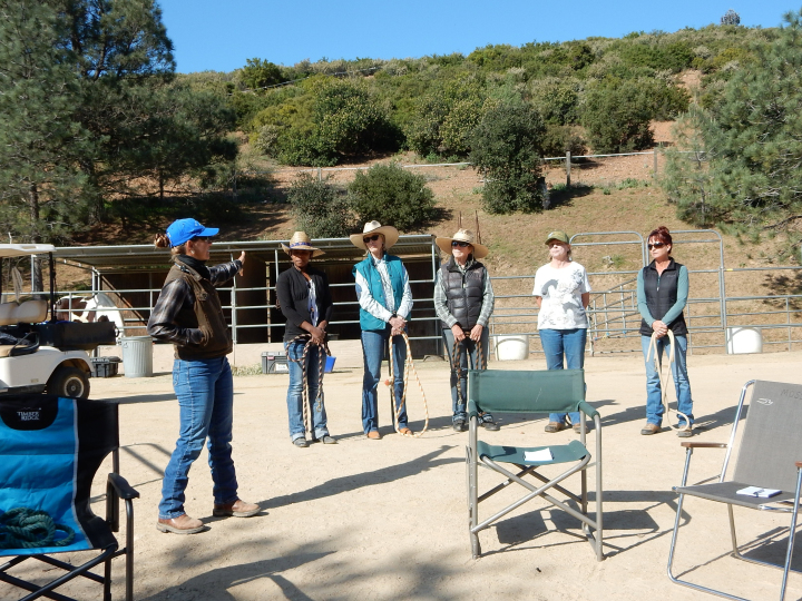 Alternative Horsemansip™ Clinic Participants